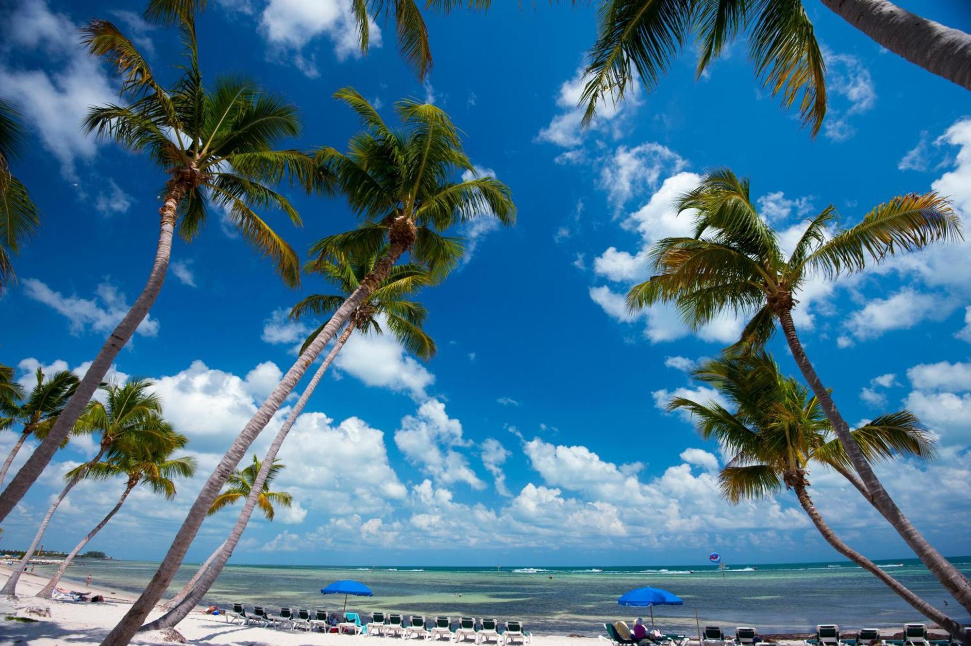 Nautical Adventures In Paradise Key West Dış mekan fotoğraf